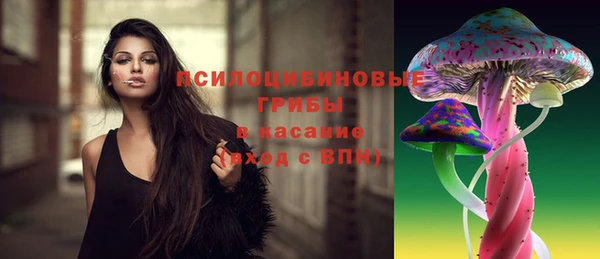 стафф Карталы