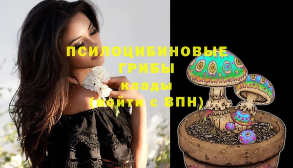 кокс Карпинск