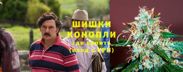 амф Касимов