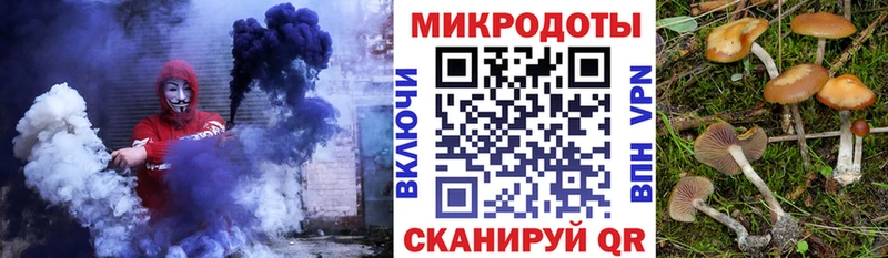 Купить где  Строитель  Псилоцибиновые грибы мухоморы 